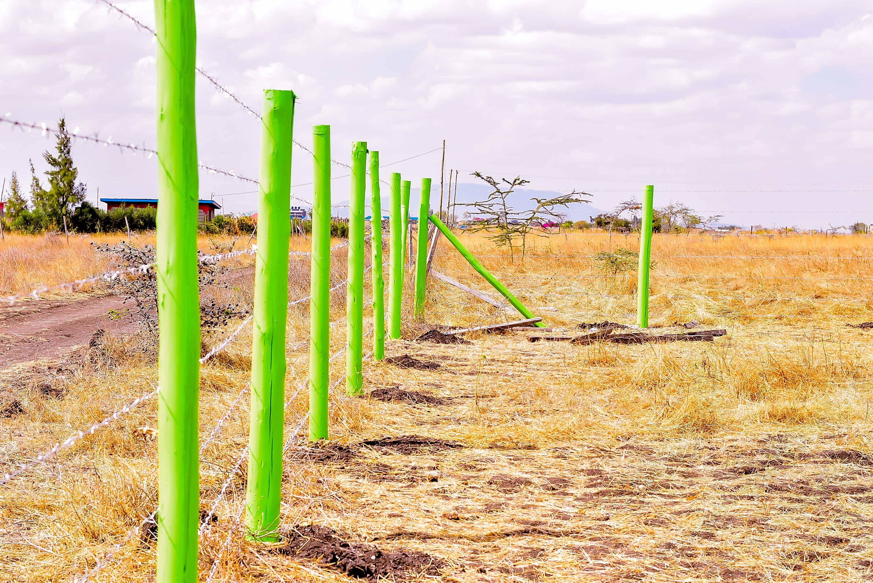 JOSKA NEEMA GARDENS PHASE 6