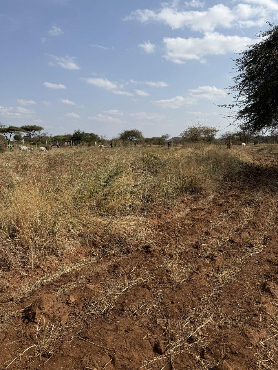 Kithyoko Success Gardens Phase 6