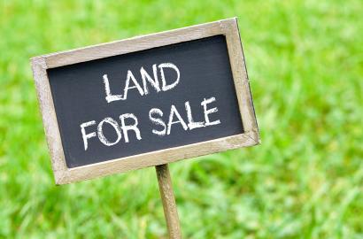 5 Types of Land Buyers in Kenya – Which One Are You?