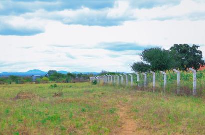 Why First-Time Buyers Should Consider Out-of-Town Plots Over City Rentals